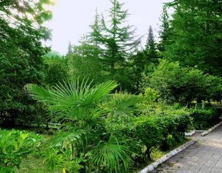 ДОЛ "Юбилейный"