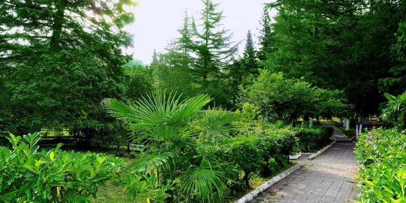 ДОЛ "Юбилейный"